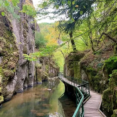 къща чолаков и син - за гости